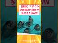 【2ch面白いスレ】【画像】アザラシ幼稚園専門用語が多すぎるWWW#2ch#2ch面白いスレ#2ちゃんねる
