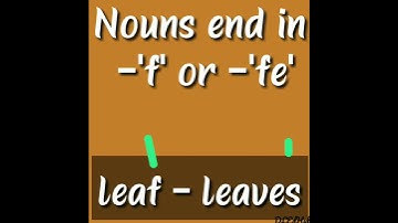 English Grammar - Short video of Singular and plural - Nouns Number