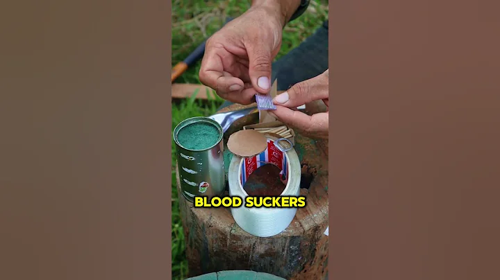 He did this to get rid of the mosquitoes 🦟💣 #ytshorts