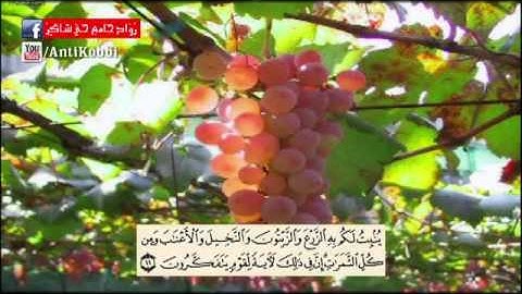 آيات بينات من سورة النحل بصوت القارئ خالد الجليل