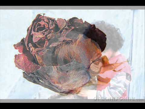 rulaya tere dil ko tujhse berukhi kar li mp3 rulaya tere dil ko tujhse berukhi kar li mp3