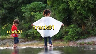 Track Multiple Objects In FILMORA 10 | Filmora Motion tracking Tutorials
