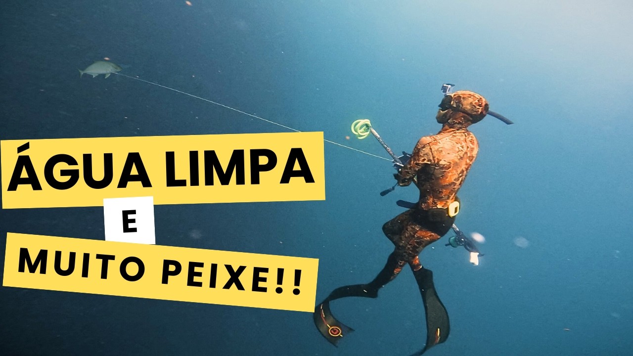 PESCA SUBMARINA EM FLORIANÓPOLIS | Água Cristalina, Pitangolas, Olho-de-Boi e Muita Ação!