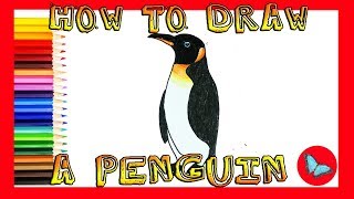 How To Draw A Realistic Penguin |Coloring and Drawing for Kids