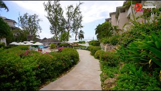 Bougainvillea I Christ Church I Barbados