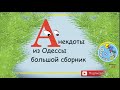 Лучшие одесские анекдоты — Собрание №8 🥳