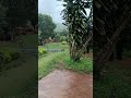 Madikeri Coorg #shortsfeed #trendingshorts #viral #ytshorts #shorts #shortvideo #travel #short