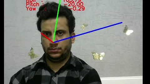 Head Nose Pose Estimation using OpenCV and Python :-)