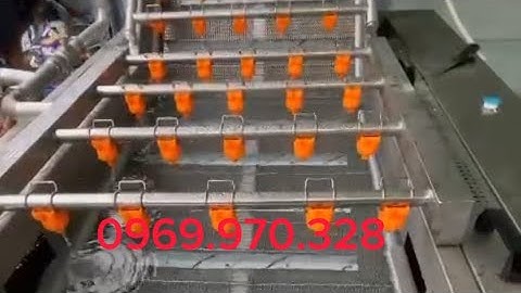 Máy rửa rau củ quả sục khí ozone