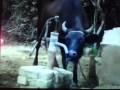 Funny animals  cow pumping water itself