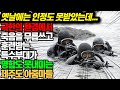 [호주언론 대서특필]유네스코가 앞장서서 인류 유산으로 등록한 한국 여성들의 정체∥해군 특수부대 UDT가 명함도 못 내미는 여성들이 있다.