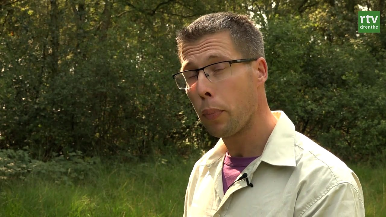 Verdwijnt de Zweedse kornoelje uit Nederland?