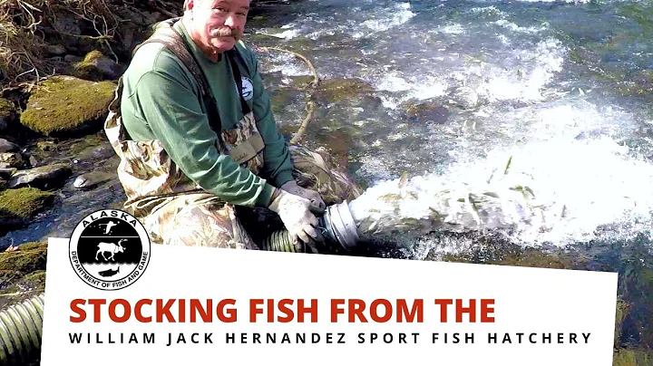 Stocking Fish from the William Jack Hernandez Spor...