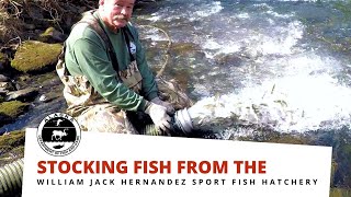 Stocking Fish from the William Jack Hernandez Sport Fish Hatchery