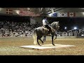 Feria del caballo Español. agosto 2022