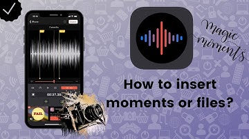 How to insert moments or files on Voice Recorder & Memos Pro?