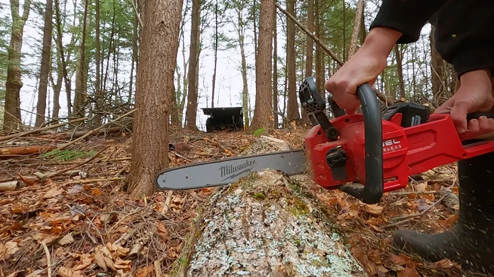 Cutting Down and Bucking A Snapped Tree Trunk | Milwaukee M18 Fuel 16" Battery Powered Chainsaw.