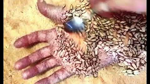 Moshup datamoshing mosh datamosh