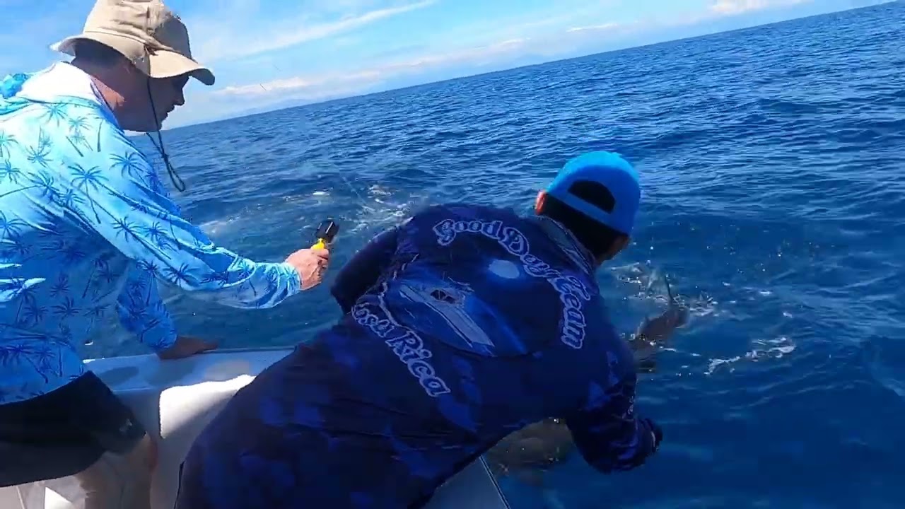 Los Suenos Costa Rica on the the Good Day Too Feb 11th 2026             Tammy Sailfish 2026