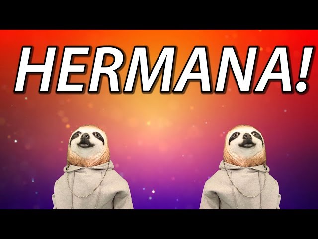 HAPPY BIRTHDAY HERMANA! - SLOTH HAPPY BIRTHDAY RAP