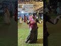 Dandiya Lehenga Looks #youtubeshorts #video #shorts #dandiya #dandiyanight #shortvideo #durgapuja