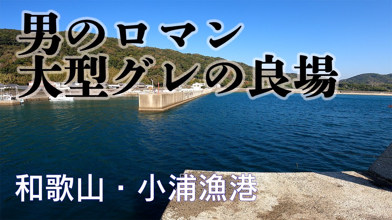 【釣り場動画#34】潮通しのいい和歌山・小浦漁港でのんびりとアオリイカやグレを狙ってみてはいかかがですか？