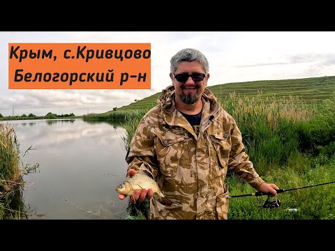 Отличная рыбалка на бесплатном водоеме в Крыму! Плотва, окунь, карась.