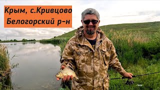 Отличная рыбалка на бесплатном водоеме в Крыму! Плотва, окунь, карась.