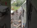 army attitude status | indian army video #armyforce #indianarmy #viralvideo #armylover #video