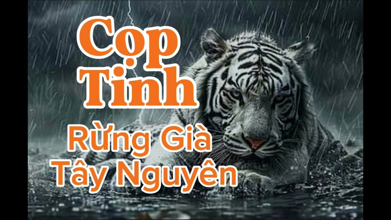 CỌP TINH RỪNG GIÀ TÂY NGUYÊN | Lê Anh diễn đọc