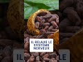 Les bienfaits sant du cacao sant nutrition uniq alimentation fyp cacao bienfaits