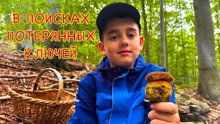 ПО ГРИБЫ С МЕТАЛЛОИСКАТЕЛЕМ‼️