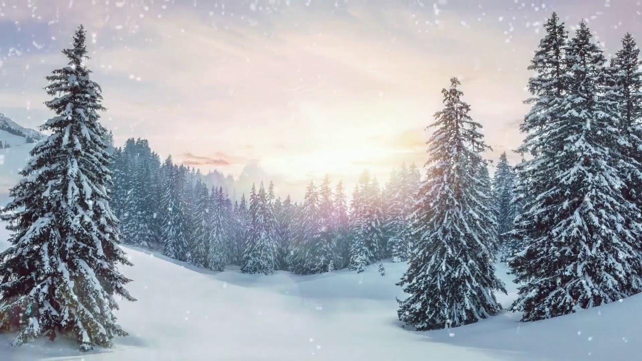 Ballade au coeur de la nature en hiver