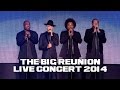 Damage  ill be loving you forever the big reunion live concert 2014