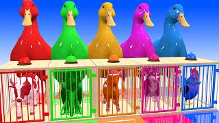 5 Giant Duck Cartoon Bear,Cow,Elephant,Tiger,Cat, Wild Animals Choose The Right Mystery Door !!!!!!!