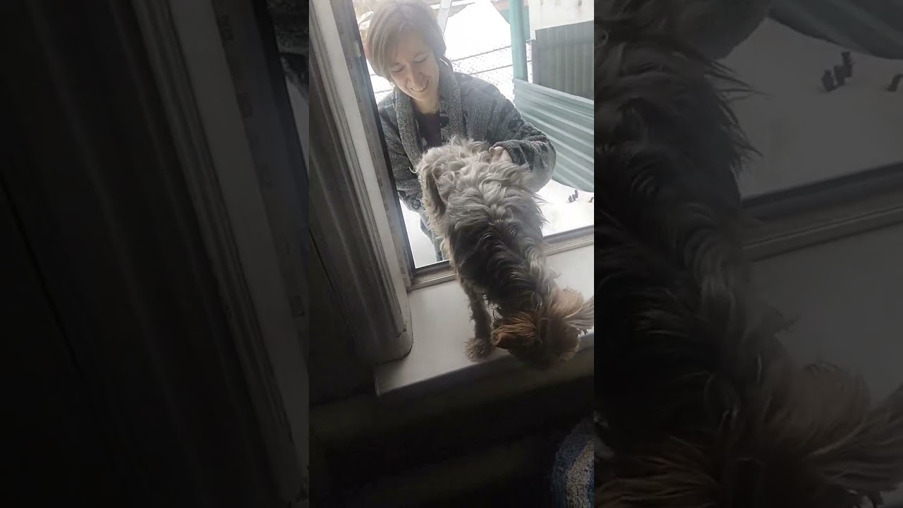 План побега 3