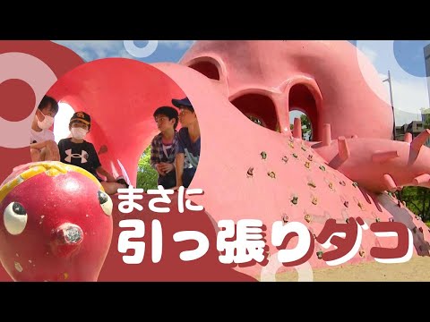 公園の「タコ遊具」人気の秘密は“迷路”“秘密基地”　北九州市に１１か所