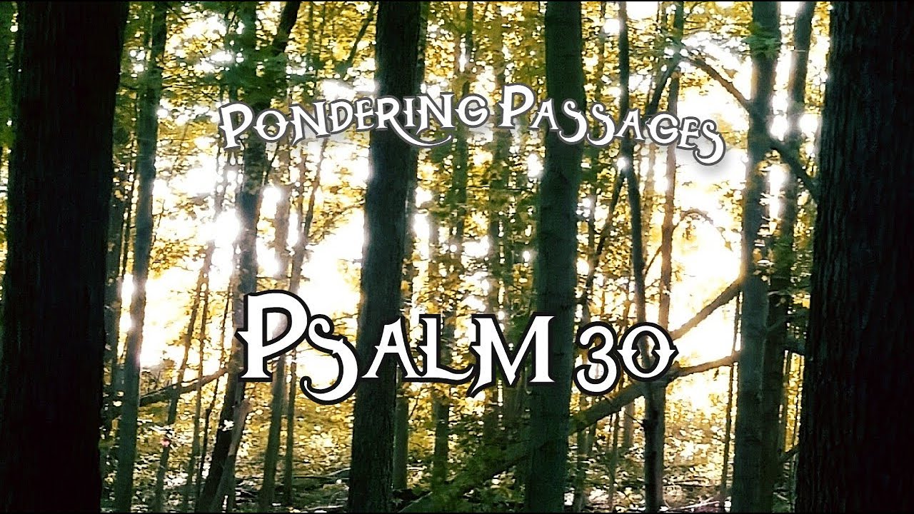 Pondering Psalm 30