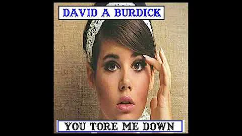 David A Burdick   You Tore Me Down