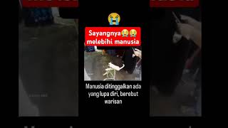 Sayangnya Melebihi Manusia  Manusia Di Tinggalkan Ada Yang Lupa Diri Dan Kada Brbut Warisan sorts