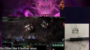 Starcraft completion season