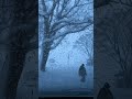暴風雪⛺SOOMLOOM VIKINGは耐えられるのか? #shorts