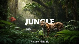 Jungle 4K  A Forest Scenic Cinema