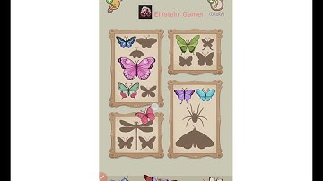 Satistory tidy up level 12 Walkthrough Solution