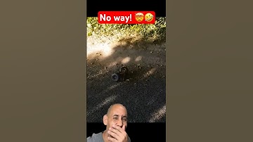 Split In Half!! 😂 #rccar #viral #funny #kevintalbot #fail #crash #shortvideo #shorts #traxxasmaxx