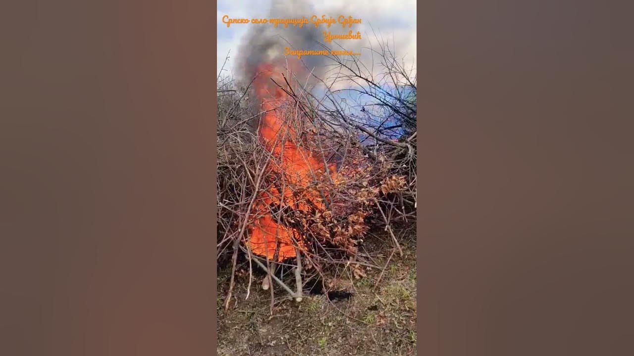 Крчење њиве и сређивање за орање #село #србија - YouTube