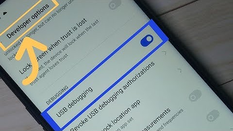 How to Enable Developer Options in Realme 6 Pro