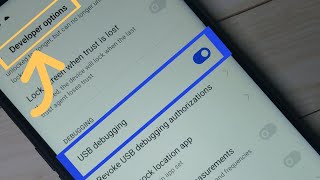 How to Enable Developer Options in Realme 6 Pro