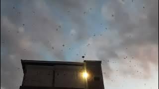 Off kan Suara saat Burung walet pulang kandang. #youtubepemula