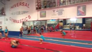 Tyler Schaal - Vault Handspring Double Front